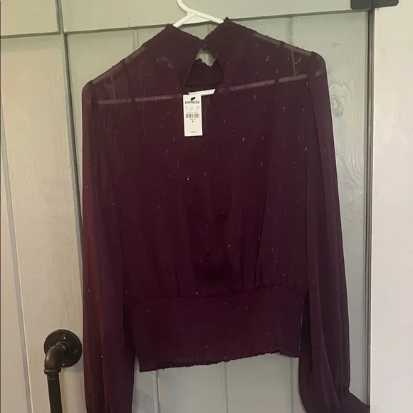 Express Plum Sheer Smocked Waist & Neck Long Sleeve Blouse - Picture 3 of 5